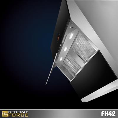 FH42
